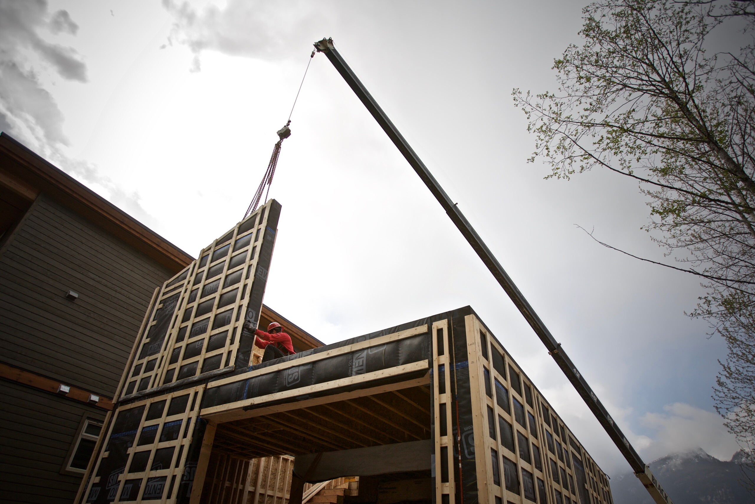 _MG_7055 (1)
